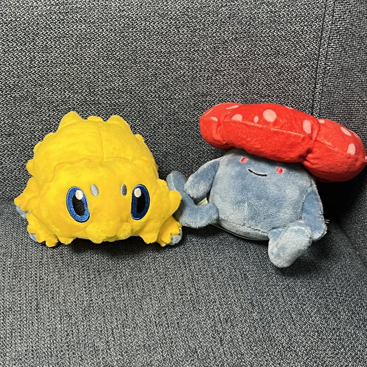 ココ (@coco8popo) / Posts / X