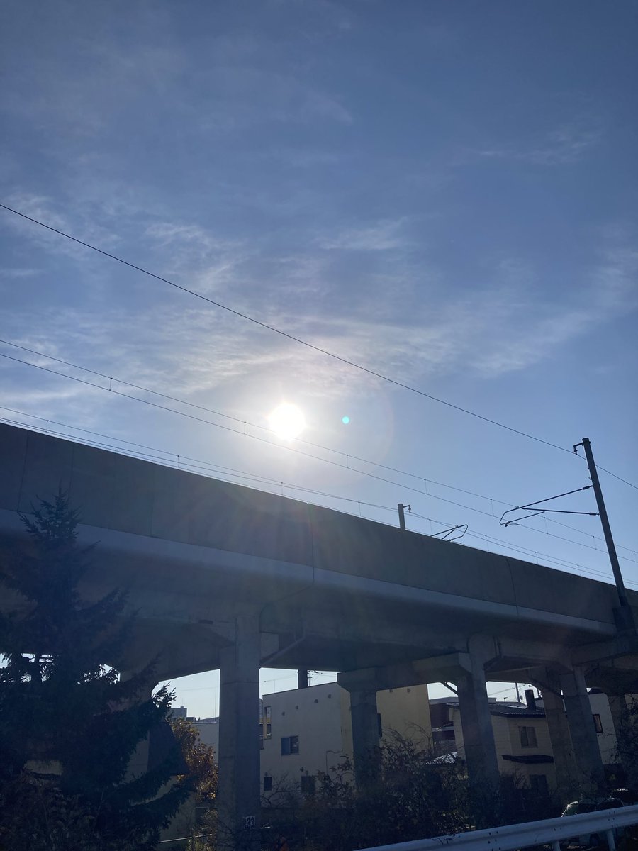 Good morning ☀️🕊️💕Afternoon 🍊
Evening 🍇 night ✨🦉