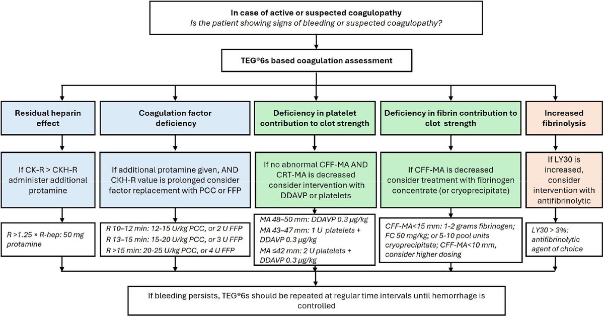 🫀 Un nuevo algoritmo basado en TEG 6s mejora el manejo del sangrado en cirugía cardiaca.
💉 Menos transfusiones, mejores resultados.

🔗 doi.org/10.1053j.jvca.…
#CardioToVascSEDAR <a href="/JCVAonline/">Journal of Cardiothoracic and Vascular Anesthesia</a>