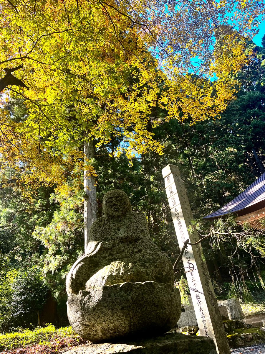 tenmutennou's tweet photo. ええ感じでしたけど、今週末くらいがbetterかな⁉︎
#奈義町
#菩提寺
#大銀杏
#大イチョウ https://t.co/cEstcE3RRC
