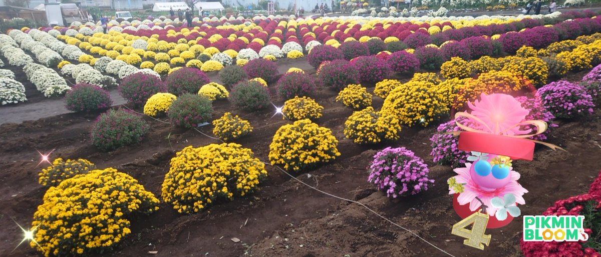 🐔 (@98rbcYZySu9swK0) / Posts / X