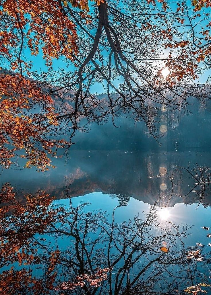 ☕️☀️Happy Sunday☀️☕️! 
🧡🍁
May your day be filled with light, peace, and reasons to smile.
 let today be as beautiful as your heart.