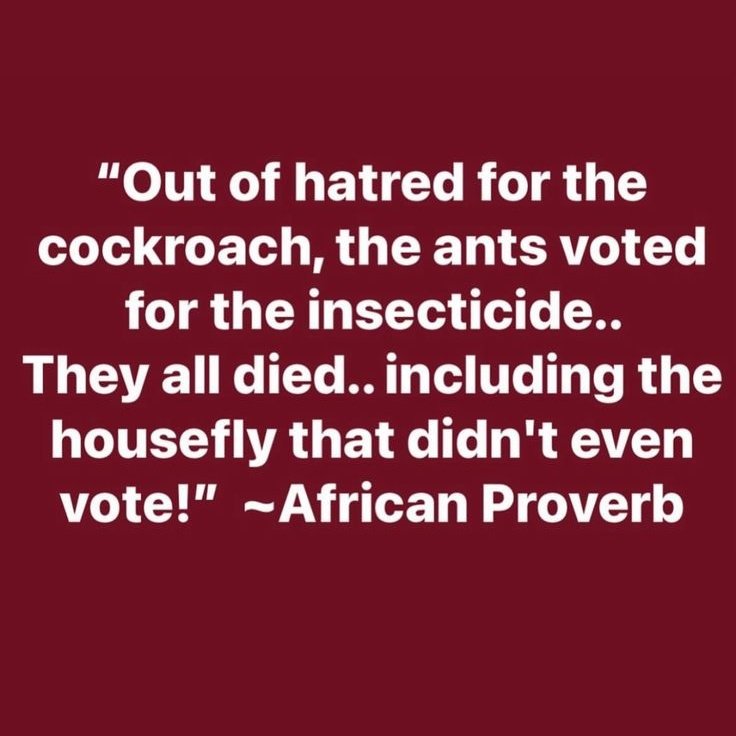 Mchwa waliwachukia Mende, wakapiga kura ya kuruhusu matumizi ya dawa ya kuua wadudu, lengo likiwa ni kuua Mende; Wakati huo wadudu wengine walisema "mambo ya Mchwa na Mende hayatuhusu".

Sasa, matumizi ya dawa ile yaliwaua wote wakiwemo waliosema hayatuhusu.

#HAKI #WAJIBU #AMANI