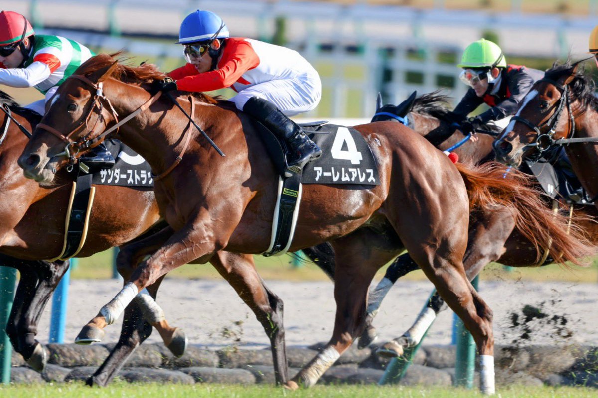 菊花賞 ジャージ WIN!競馬_総合【公式】 on X