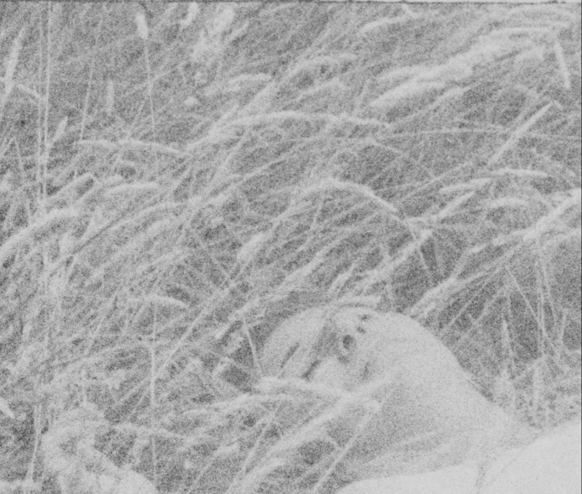 Bow Arts tweet media