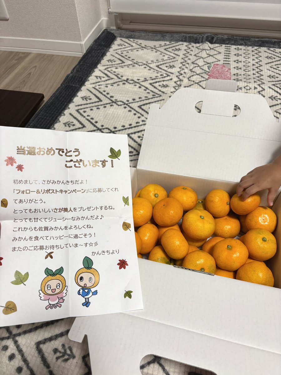 さがみかんきち【公式】 (@sagamikankichi) / Posts / X