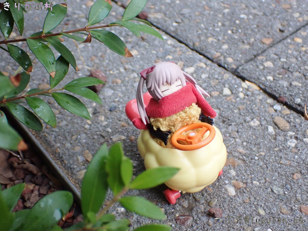 みたらし団子 D70 みたらし団子様専用 D70