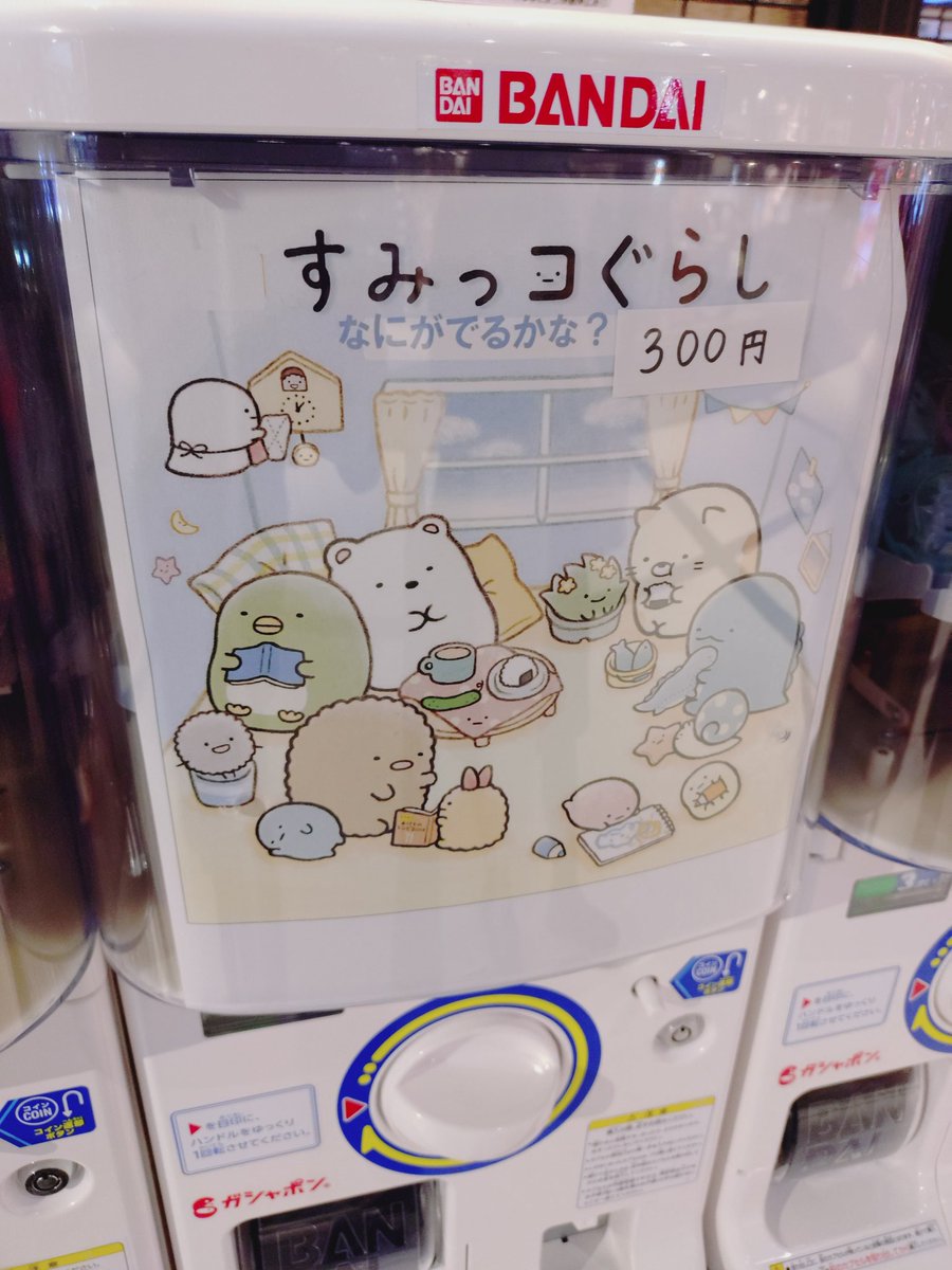 Post by しろくま33˙ᴥ˙🦎🦕 on X: 珍しい