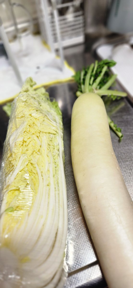 🐯𝕋𝕀𝔾𝔼ℝ兄貴🐯 tweet media