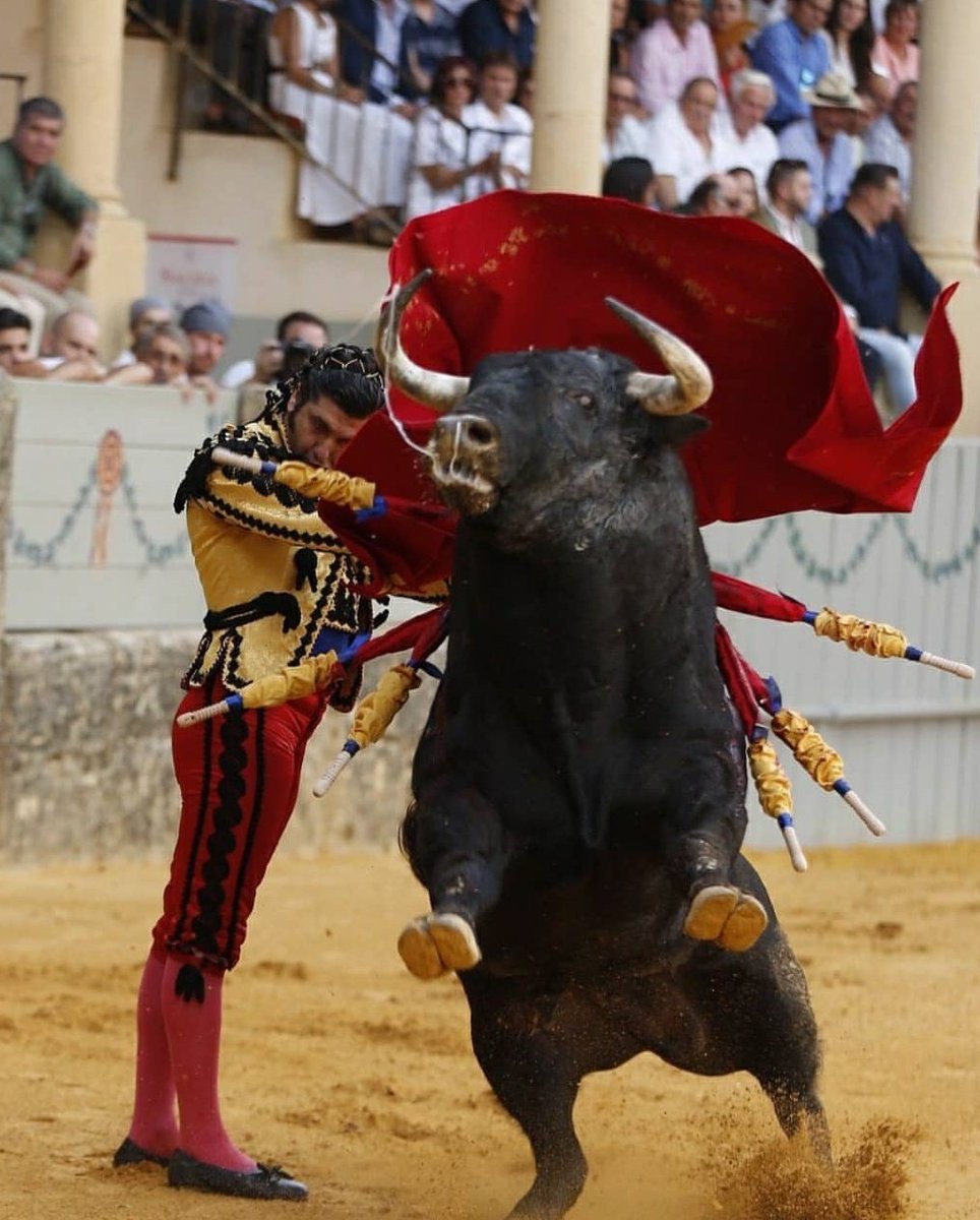 Álvaro Acevedo en su último podcast:

"Morante le ha pedido a un ganadero muy conocido y de su agrado una corrida para la reinaguración de Ronda 2026"