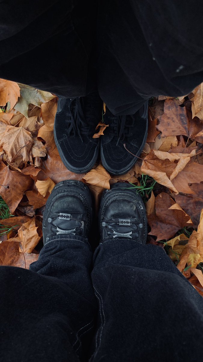 taylor 🐜 tweet media