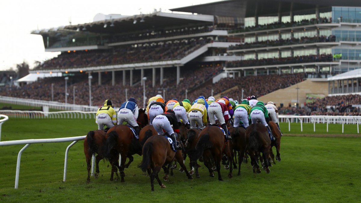 I’ve backed a couple of horses at Cheltenham today 🏇

Good luck all! 🤞🏻

Torneo (2.20) @ 11/2
Serious Challenge (3.30) @ 13/2

#EnigmaHN