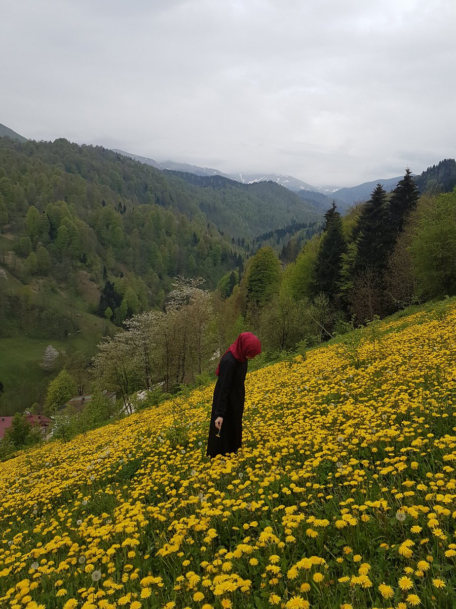 En Trabzon fotoğrafım 🌼