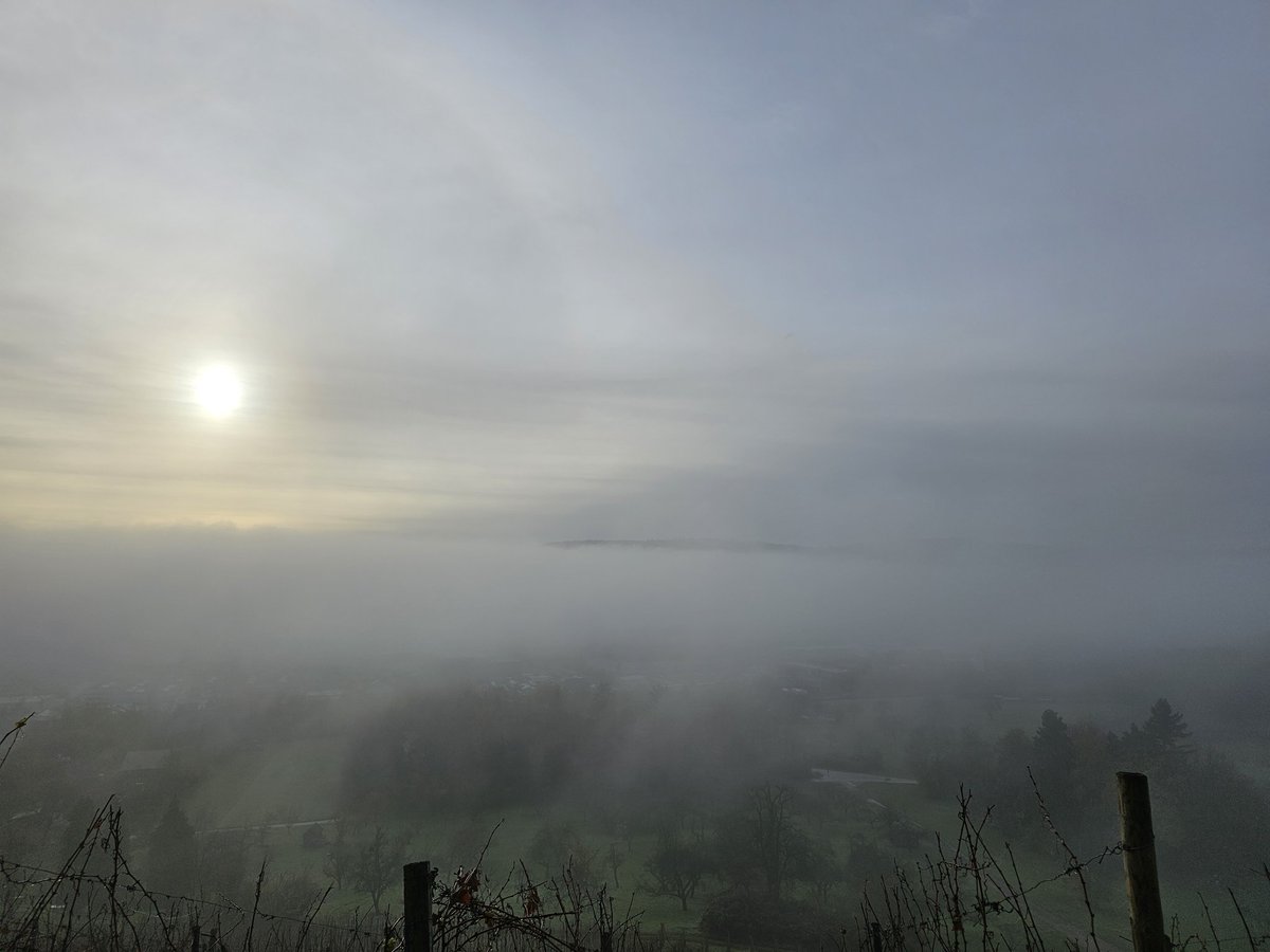 Baga Telle 🏳️‍🌈 (@minzpatty) on Twitter photo 