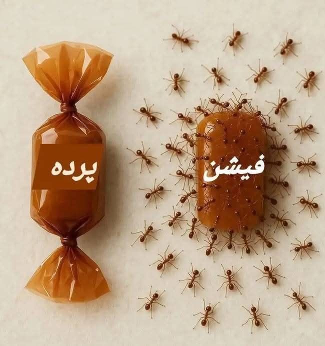 #ملک_پرموشن
<a href="/1yus_f/">یـوسـف✨</a>
Follow🍁
<a href="/01Mllik/">𝙈𝘼𝙇𝙄𝙆 𝙅𝙄💫💙</a> <a href="/1arshd/">𝗔𝗿𝘀𝗵𝗱 𝗠𝗹𝗶𝗸💫👑</a>
<a href="/01rshd/">ارشـــد مــلــک❤️</a> <a href="/1Arshii/">𝓐𝓻𝓼𝓱𝓲𝓪 🌸💫</a>
<a href="/1Mlick/">𝓜𝓪𝓵𝓲𝓴💫👑</a> <a href="/1Sehar_/">𝐒ҽԋαʀ 👑</a>
<a href="/K_G898/">کانچ کی گڑیا</a>
<a href="/1zchma/">حُب❤</a>
<a href="/sehrr_ik/">سحر ملک 🦋👑</a>
<a href="/1mna11/">آمنہ ملک 🇸🇦</a>
<a href="/jst_4rU/">ßιℓαℓ🎭</a>
<a href="/Hfn08/">𝐻𝒶𝓂𝓃𝒶 𝒦𝒽𝒶𝓃 ✨️</a>
<a href="/Ghz35/">🇬 🇭 🇦 🇿 🇦 🇱 🇦 🇭</a>
<a href="/ze_kh1/">ȥҽҽnia ❤︎</a>
<a href="/8L_04/">Lubna Malik</a>
<a href="/Arsh1i/">Arsla👀</a>
<a href="/11iasd/">Ali Asad</a>
<a href="/guljnt/">گُل جنت🌷</a>
<a href="/1Lvz0/">𝐿𝒶v𝑒𝑒𝓏𝒶_🍃</a>
<a href="/_zak8/">Zaid Ahmed Khan</a>
🍃<a href="/1z_K8/">ZK</a>
<a href="/seh1r/">𝐈𝐭'𝐬 𝐌𝐞 👑</a>
<a href="/1shobii/">Shoaib</a>
<a href="/1Ansha/">ANISHA CH💫🦋</a>
<a href="/ek_804/">Esha Khan</a>
<a href="/bndy55/">Asad 𝔹𝕒𝕟𝕕𝕒𝕪 2</a>
<a href="/shZ447/">🌻🌻🌻𝕊𝕙𝕒𝕙𝕫𝕒𝕕 𝕄𝕦𝕟𝕚𝕣🌻🌻🌻</a>
<a href="/ak77577/">✨ƓƠƠƊ ƓƖƦԼ✨</a>
<a href="/Haris_943/">Haris PTI ᵀᶠᴸᵂ</a>
<a href="/Panotihunyar/">zara 🦋</a>