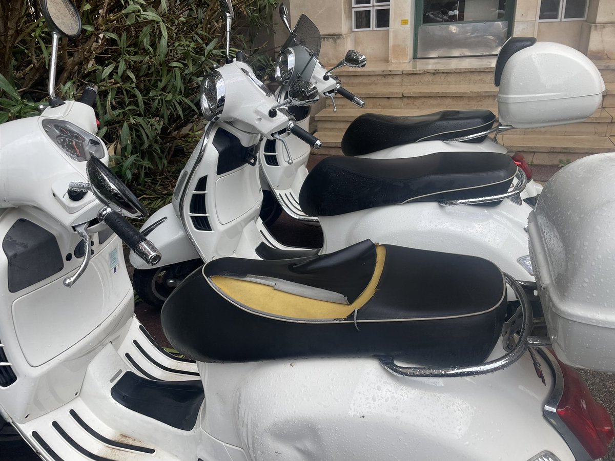 Lab20_24's tweet image. Note à moi-même : penser à changer ma selle 🐝… 🌧️