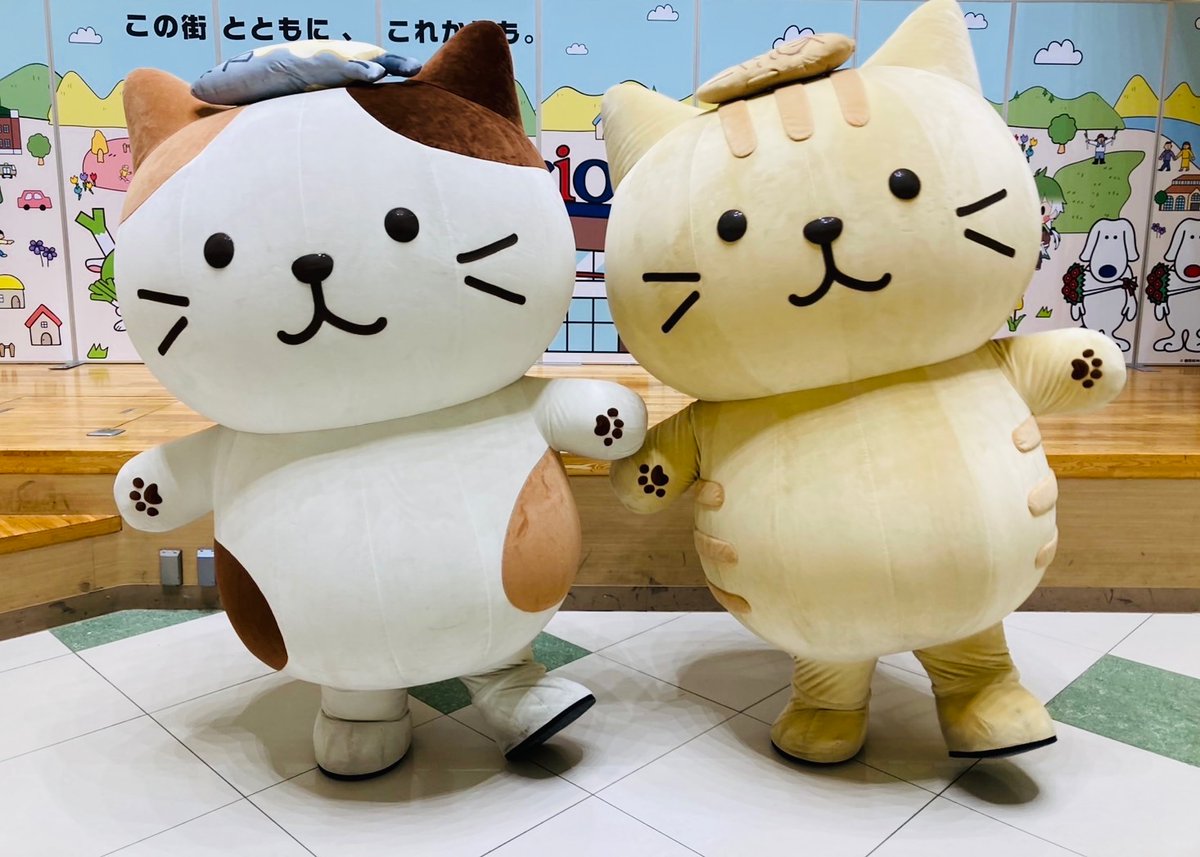 🐱#ふくふくにゃんこ📷 グリーティングイベント開催☆ˎˊ˗ ⋱ たくさん