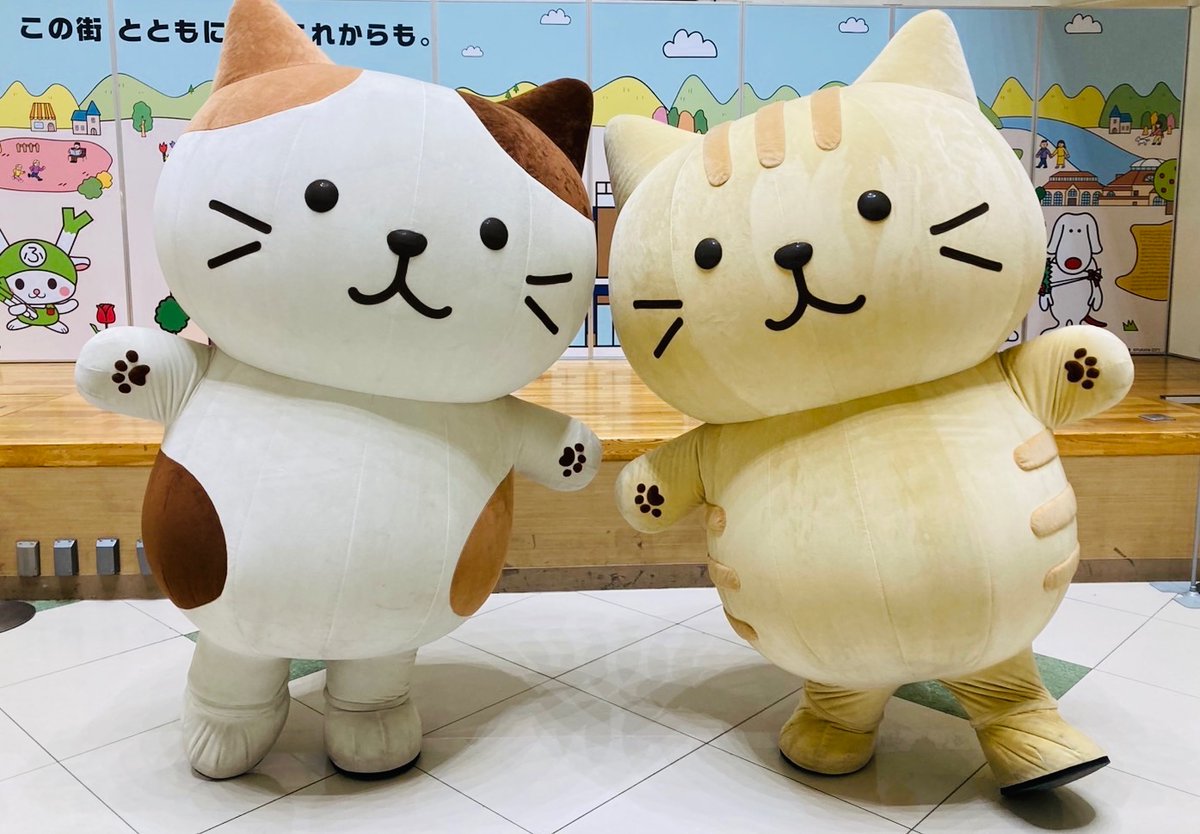 🐱#ふくふくにゃんこ📷 グリーティングイベント開催☆ˎˊ˗ ⋱ たくさん