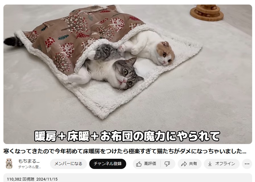 ほい (@5CQJSKTHPmBPioF) / Posts / X