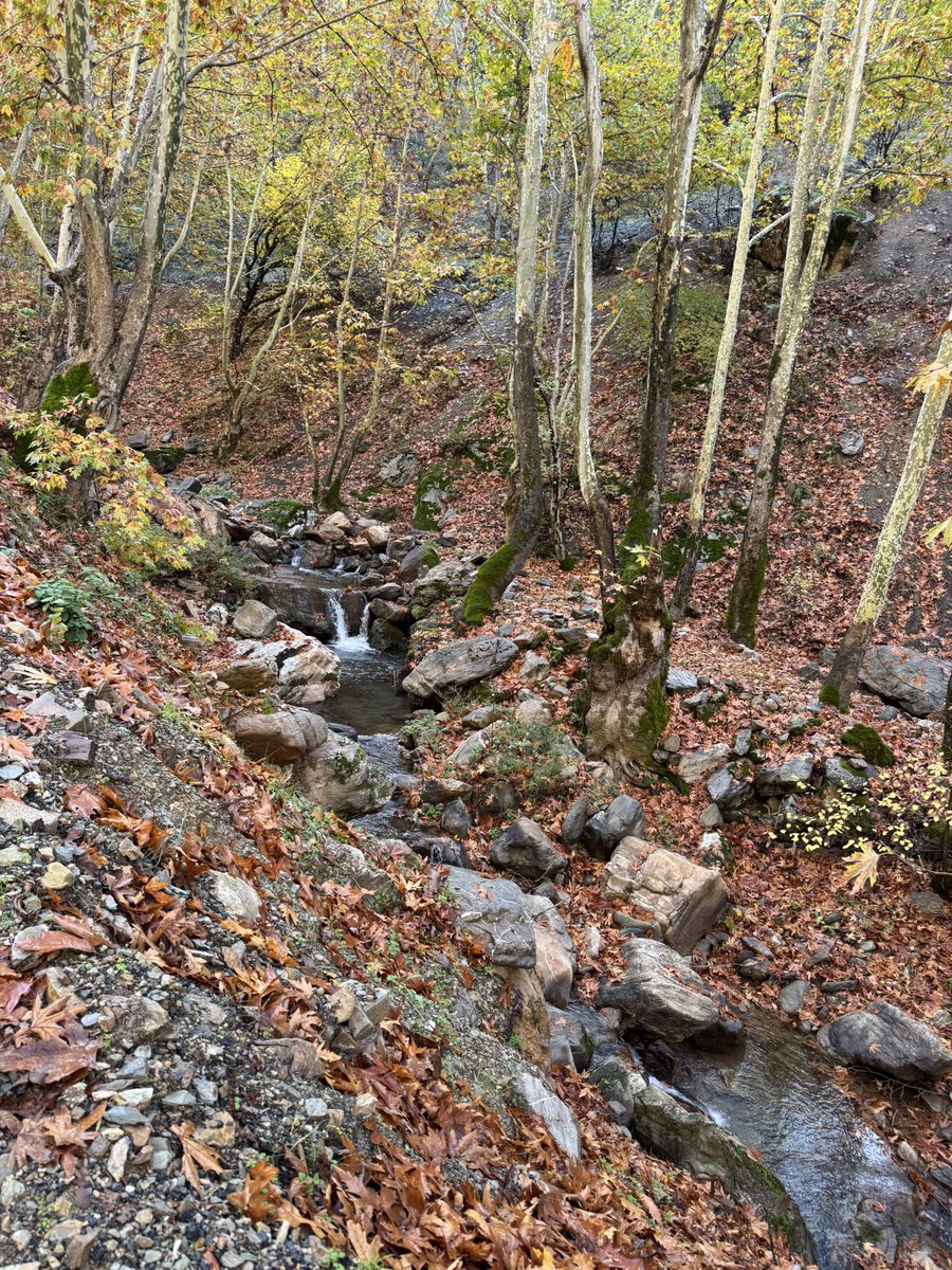 Bulutlar rahmet yüklü. Devran dönüyor. Mevsimler değişiyor.