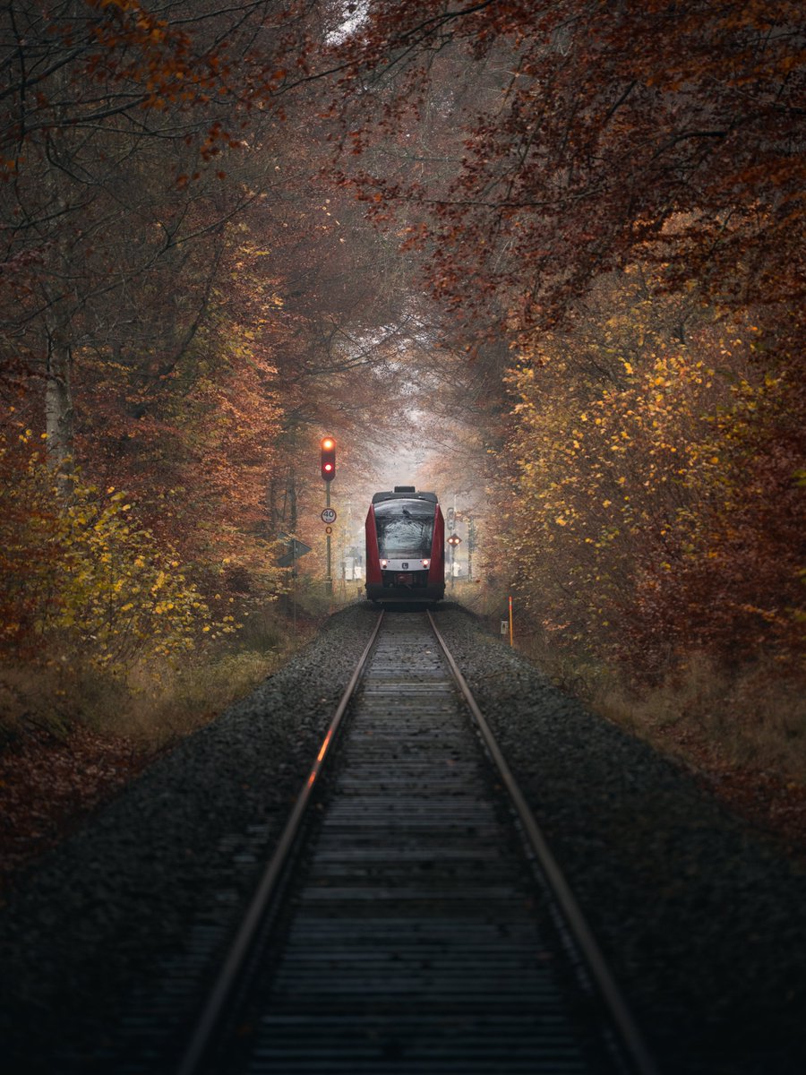 Darte Fex tweet media