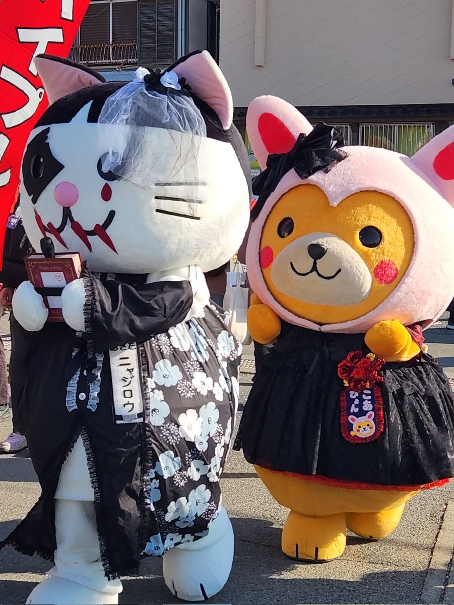 ねこのマスコット しまねっこまつり2025