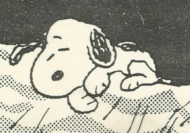 snoopyzito's tweet image. 