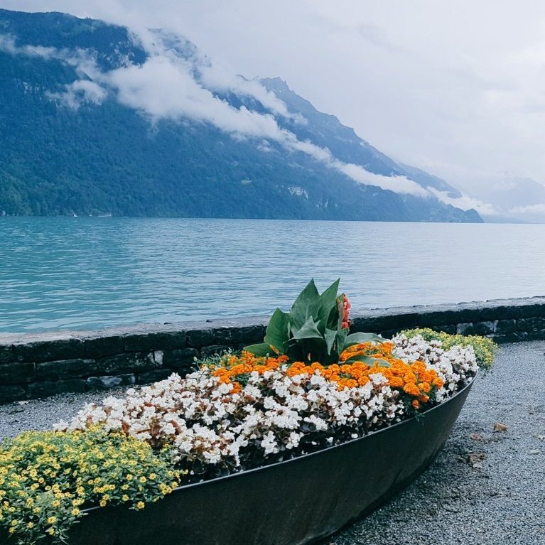 في العلاقات بين البشر .. عليك أن تتقن فن المواجهة وفن الإنسحاب وآلية الهروب ، كل شيء تفعله بفن سيحقق الهدف المنشود بإذن الله ، وكل شيء تفعله ( هبد ) ستكون نتيجته أهبد .. لا سمح الله .. !!

#اليوم_العالمي_للتسامح