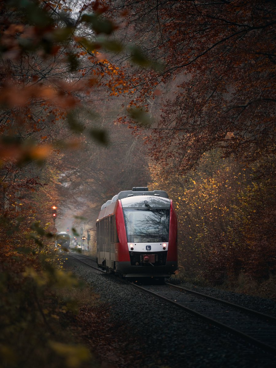 Darte Fex tweet media