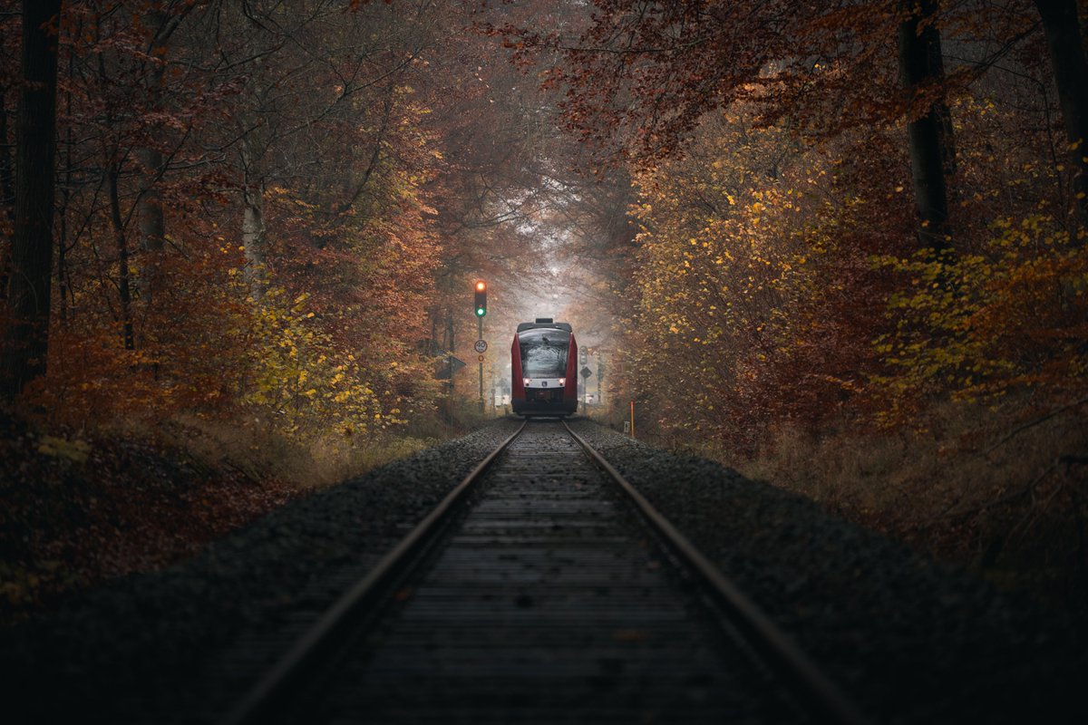 Darte Fex tweet media