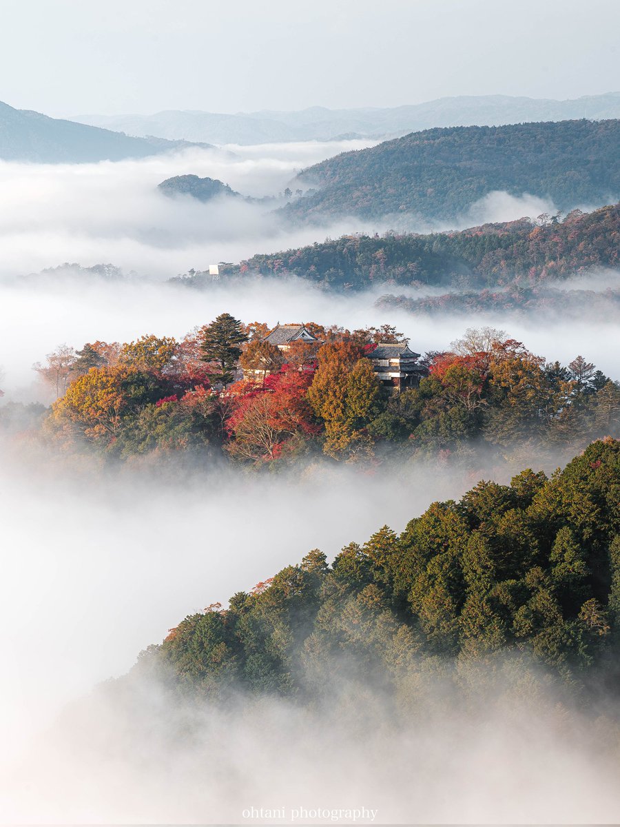 ohtani_tani25's tweet image. 雲海×紅葉×朝日×備中松山城
こんな贅沢なことがあって良いのか？