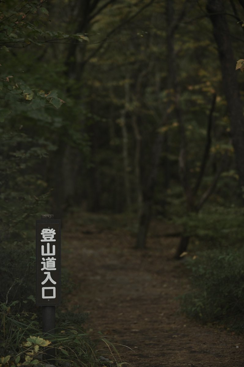 CyPm4f's tweet image. #写真好きな人と繋がりたい
明日は休み🎌
鹿児島帰ろ〜🚗💨