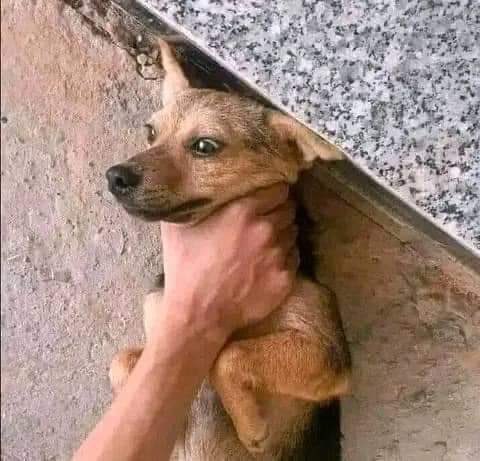 Me After Catching Someone Who Unfollowed Me After I Followed Him/Her