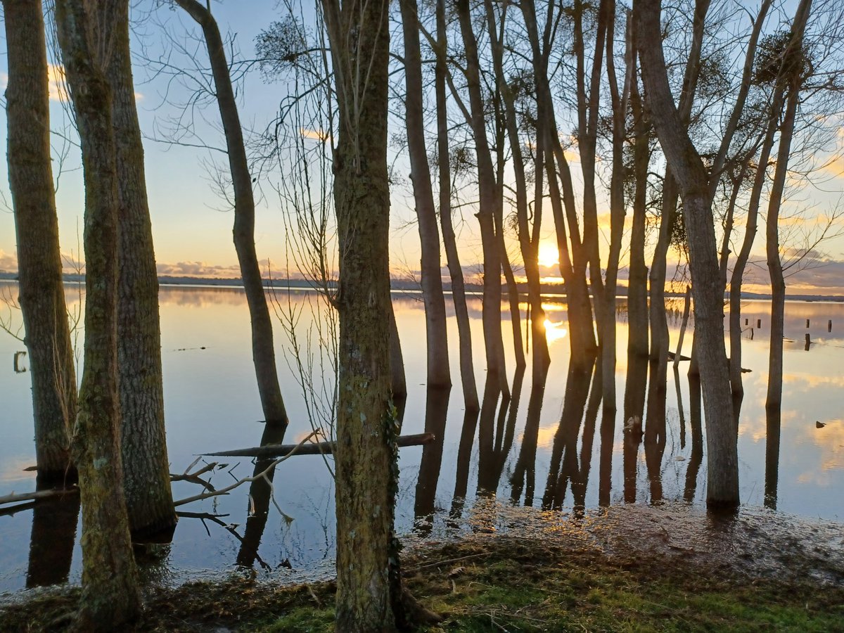 Bonjour la TL 😁, bon dimanche. 

📸 de moi.  Le marais vers Carquebut,  janvier 2023