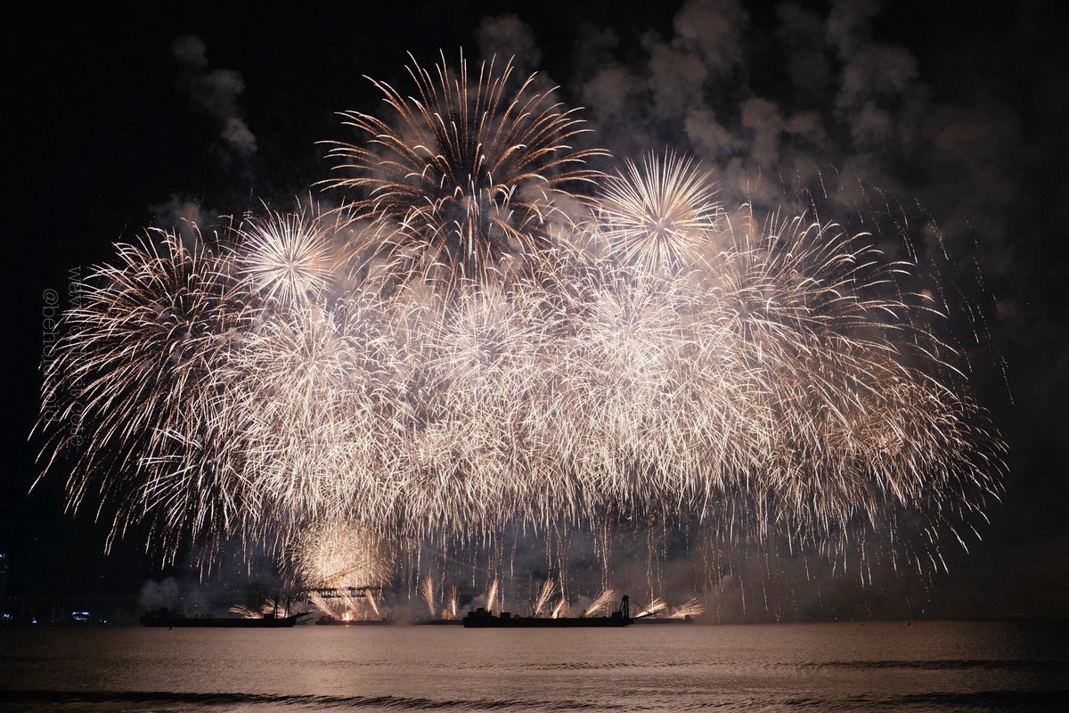 𝚌𝚘𝚝𝚎 tweet media