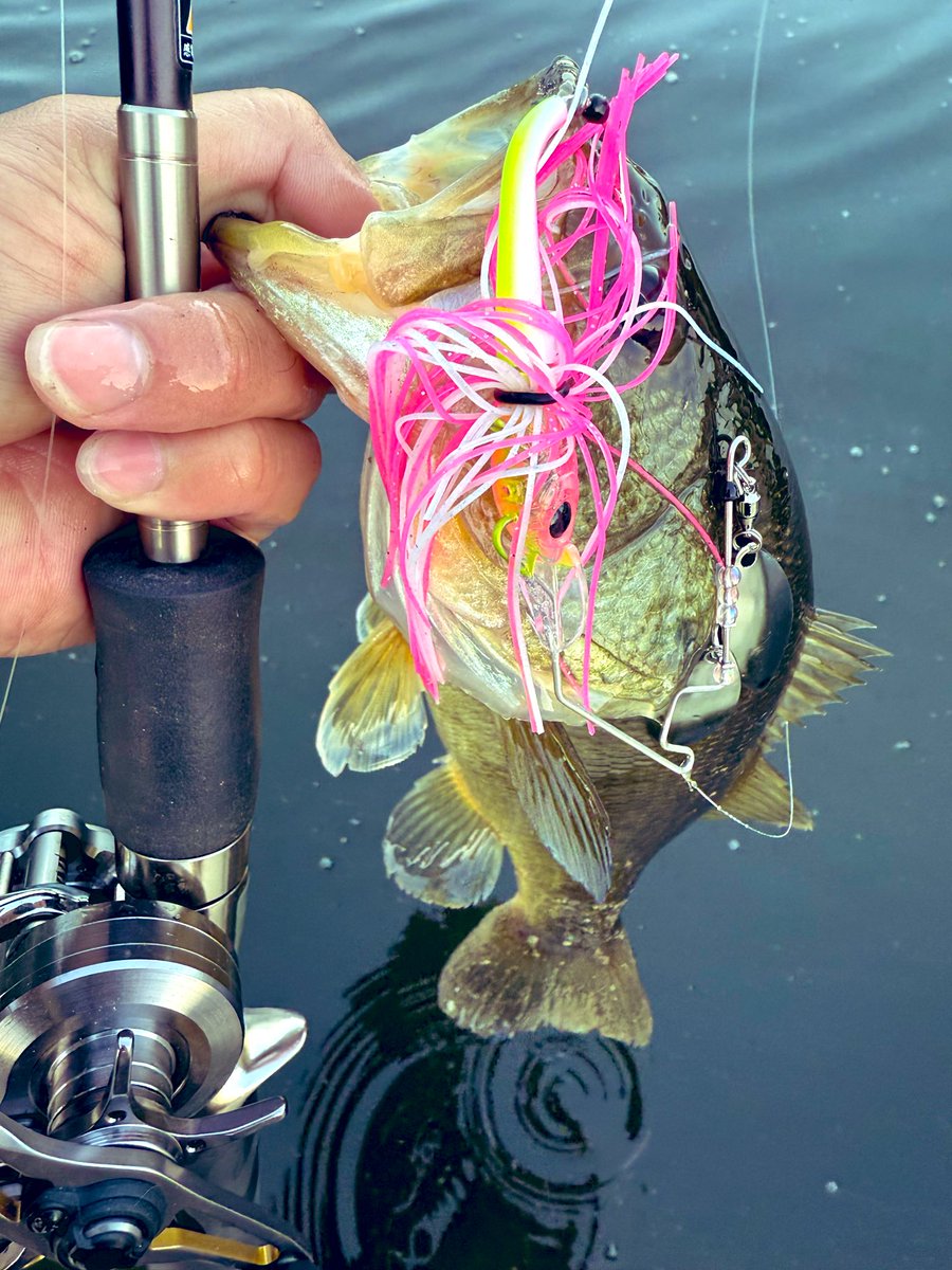 BUTZ (@BUTZbassfishing) / Posts / X