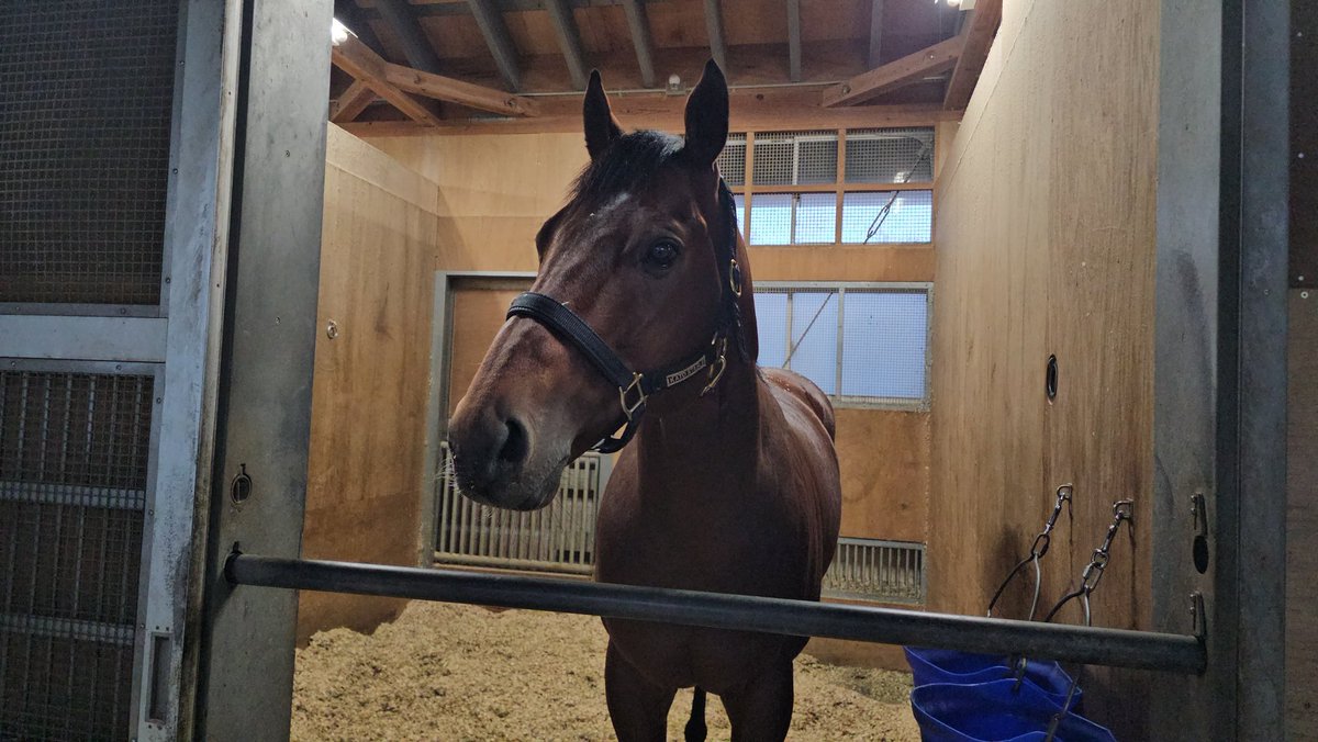 川崎バルビゾン（旧姓KAWASAKI142016） (@z0_g5) / Posts / X