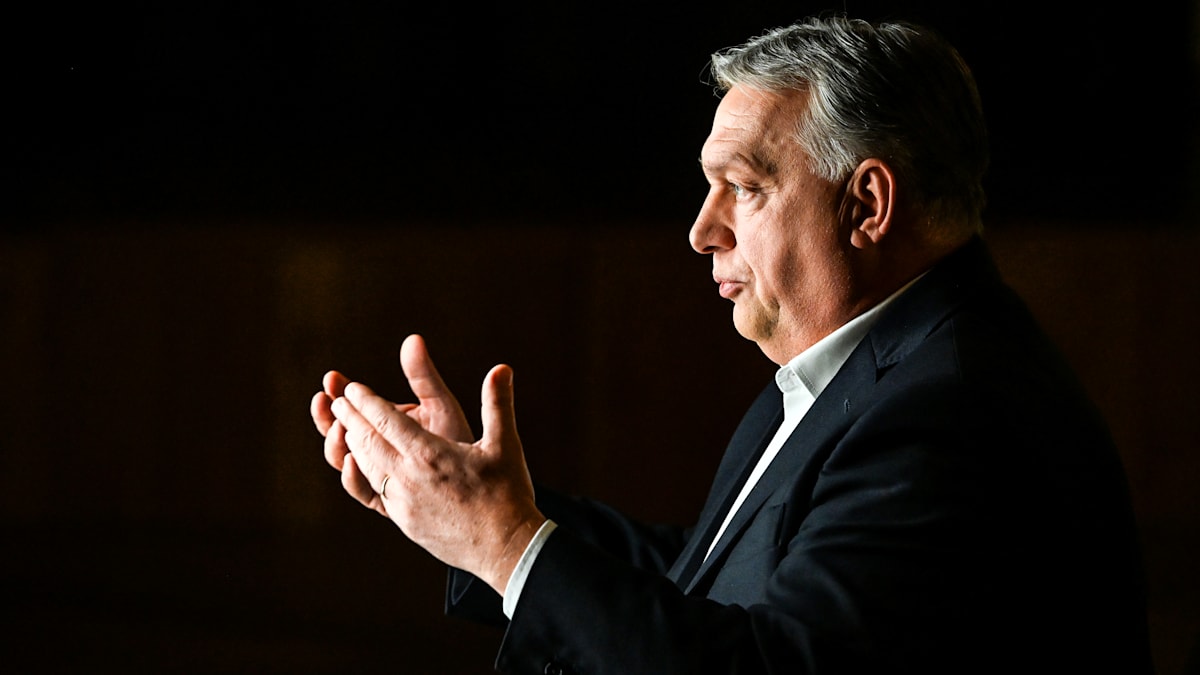 „Halte es für lächerlich zu sagen, dass Russland die EU oder die Nato angreifen wird“ to.welt.de/zvyPpDn