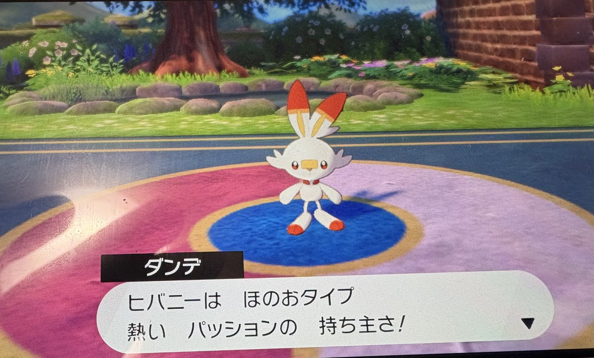 修行をし直すかまえよ！

#ポケモン　#剣盾