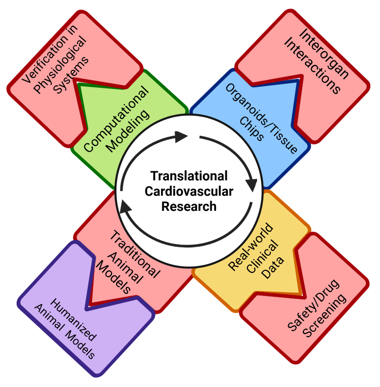 Journal of Cardiovascular Pharmacology tweet media