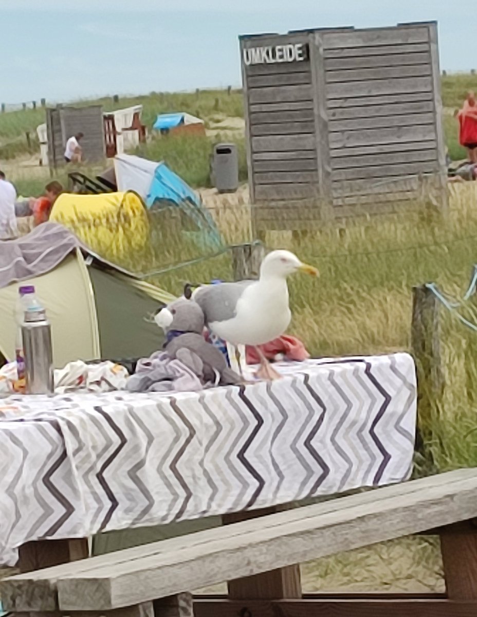 Die werden auch immer frecher.