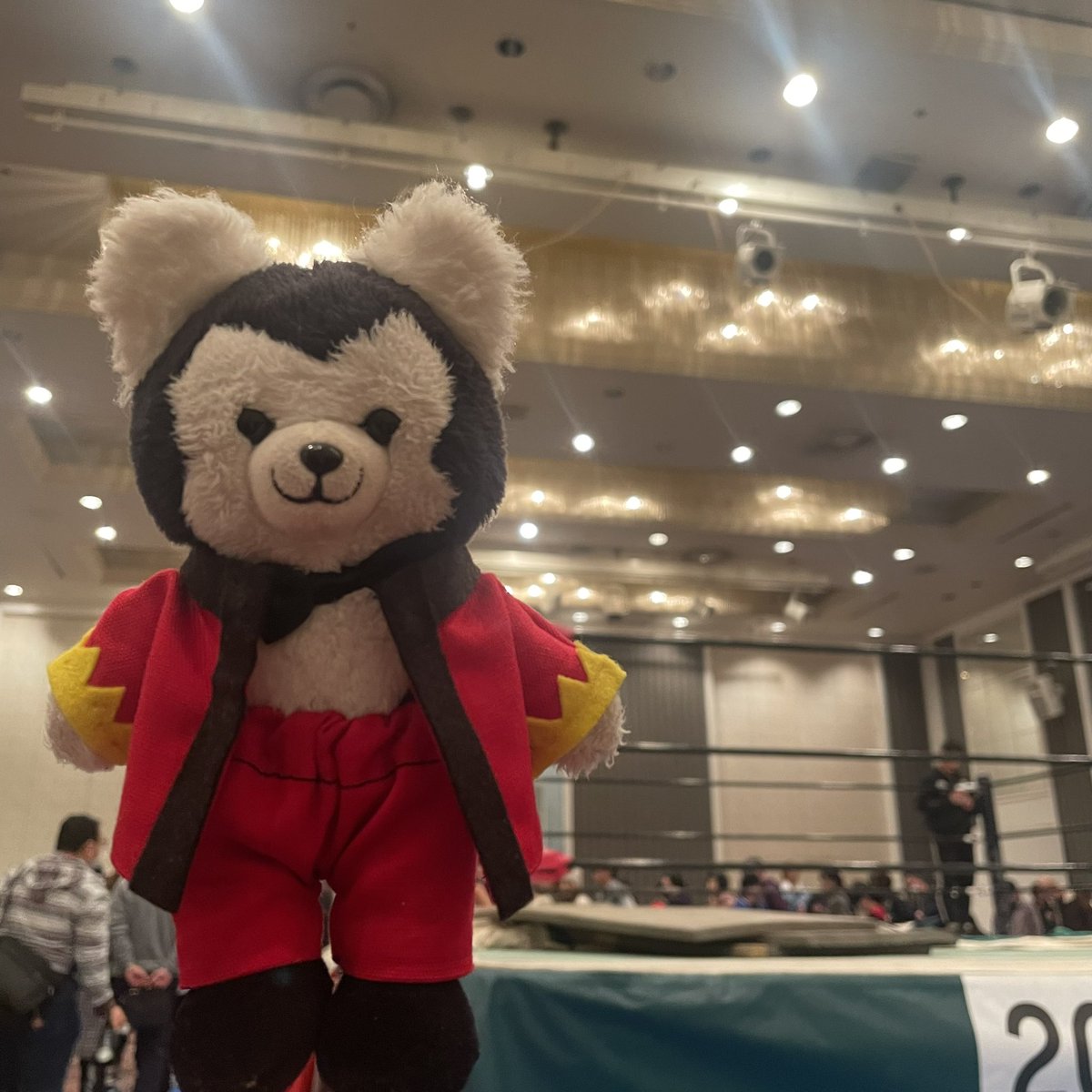 comugi99's tweet image. プロレス行ってきたぜ！

朝イチで山谷林檎🍎選手の服を作ったがマスクは間に合わず！