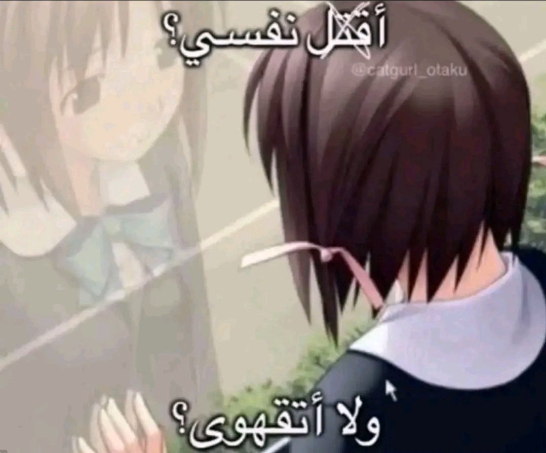 هديل🫦 tweet media