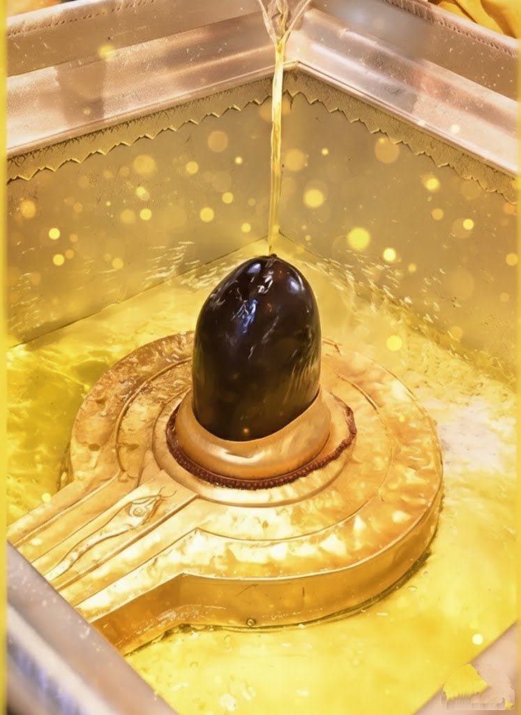 Sanatani8766's tweet image. श्री काशी विश्वनाथ महादेव दिव्य दर्शन, हर हर महादेव।