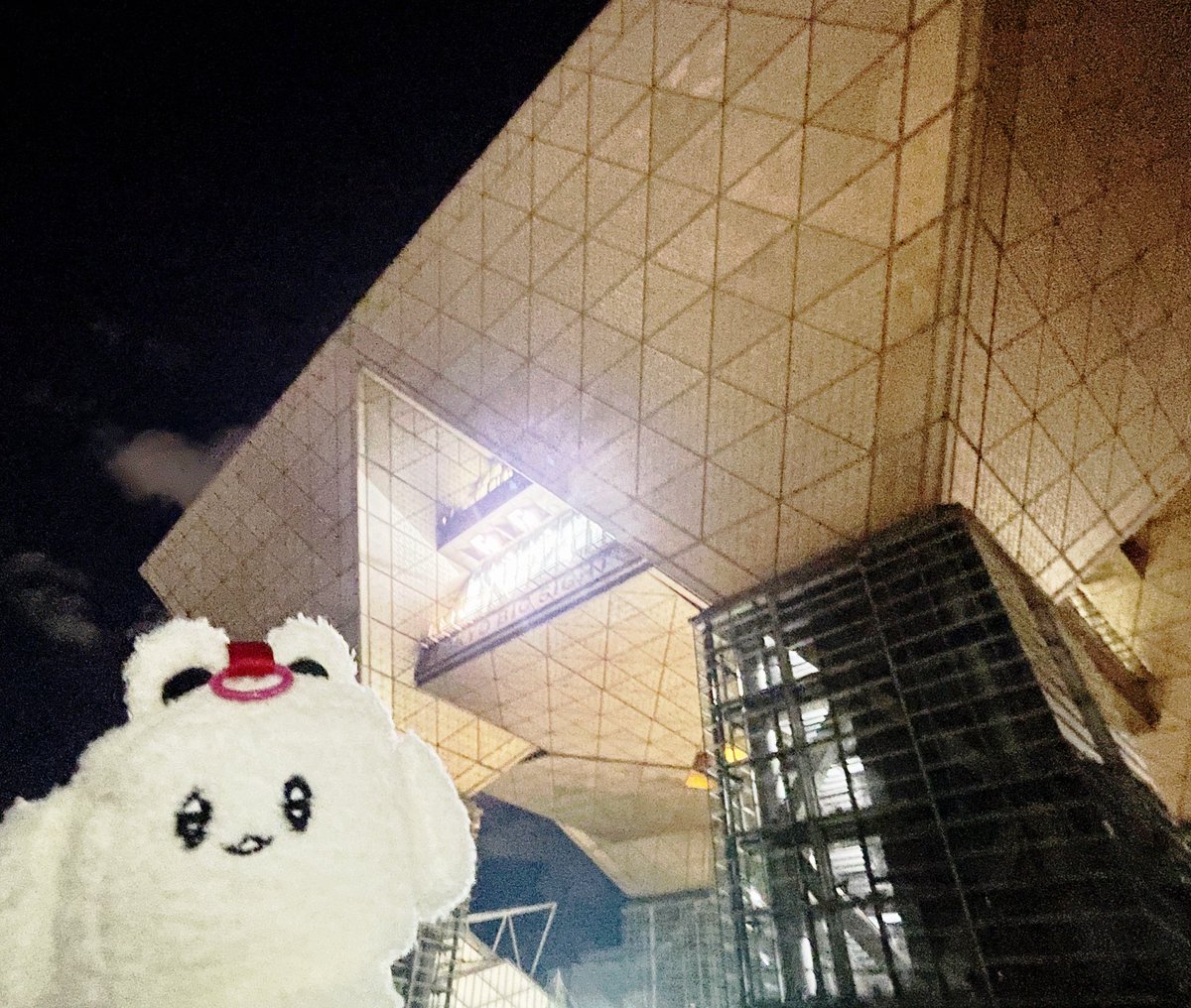 たくさんの方がtofusukiを手に取って頂きありがとうございました！
是非またお会いできる日を楽しみにしてます。
デザフェス62もありがとうございました。

そしてご一緒させていただきました可愛商店さん
(<a href="/keaisyoten/">可爱商店♥️1/22〜25 おだやかおせち倶楽部にて個展</a> ) 紹介してくれたギャラちゃん( <a href="/iegasemai/">ﾎｼﾅ(ｷﾞｬﾗﾁｬﾝ)🪡🧵</a> ) ありがとうございました😭
BIG感謝