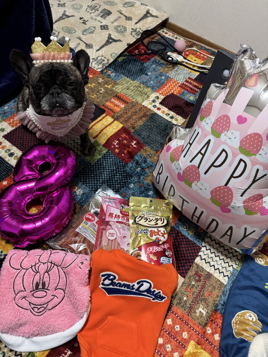 RAV0310's tweet photo. ルナちゃん8歳のお誕生日🎂🐶🎊😍🎉🩷🩷🩷
プレゼントもいっぱい🎁
これからも元気いっぱいで長生きしてね✨ https://t.co/ahnurpgKM0