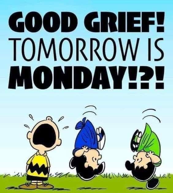 snoopyandfrien6's tweet photo. GOOD GRIEF!
TOMORROW IS
   MONDAY!?! https://t.co/qDW9Fng2EG