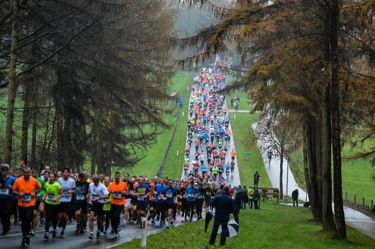 What do chasing toddlers, raking an absurd amount of leaves, and a 15km run have in common? 🤔

They all prove that every step counts toward a healthier life—physically &amp; mentally!

We're incredibly proud of the <a href="/ST3PR_VET/">ST3PR</a> community getting it done. Not only do we focus on
