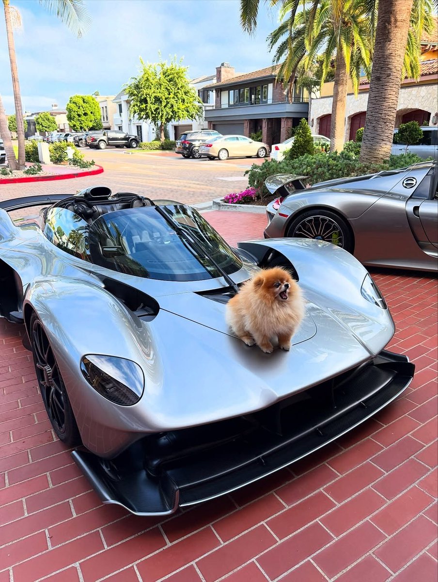 remyygill's tweet image. Your day should start well

drop $sol wallets