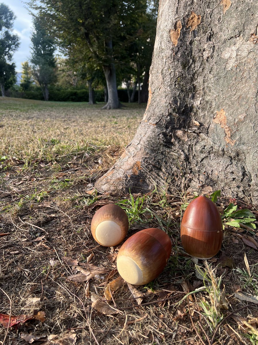 SuTeKiHeads's tweet photo. 開催中の「りすカフェ15」に出品中の「どんぐりの小物入れ」で「大きなどんぐりを拾ったら…？」みたいな写真を撮ってみました。
#りすカフェ #ぽた��ふぇ https://t.co/ItfLqWRGe5